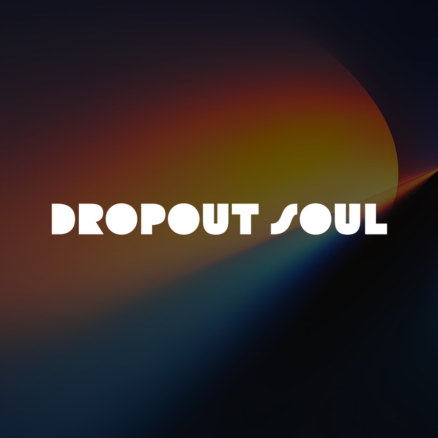 Dropout Soul